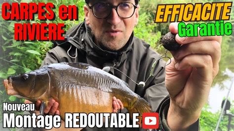 PECHE à la CARPE en RIVIERE MONTAGE pour la CARPE très EFFICACE YouTube