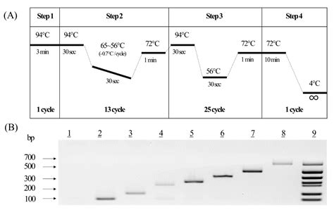 Monitoring Living Modified Canola Using An Efficient Multiplex PCR