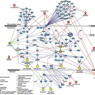 PTEN signaling pathway deregulation in asthmatic patients. Gene... | Download Scientific Diagram