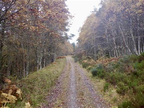 South Side Of Loch Beinn A Mheadhoin Richard Webb Geograph