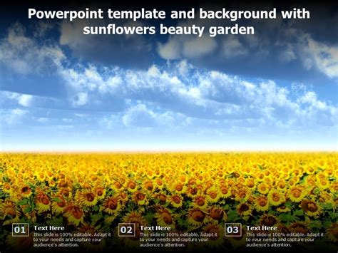 Powerpoint Template And Background With Sunflowers Beauty Garden