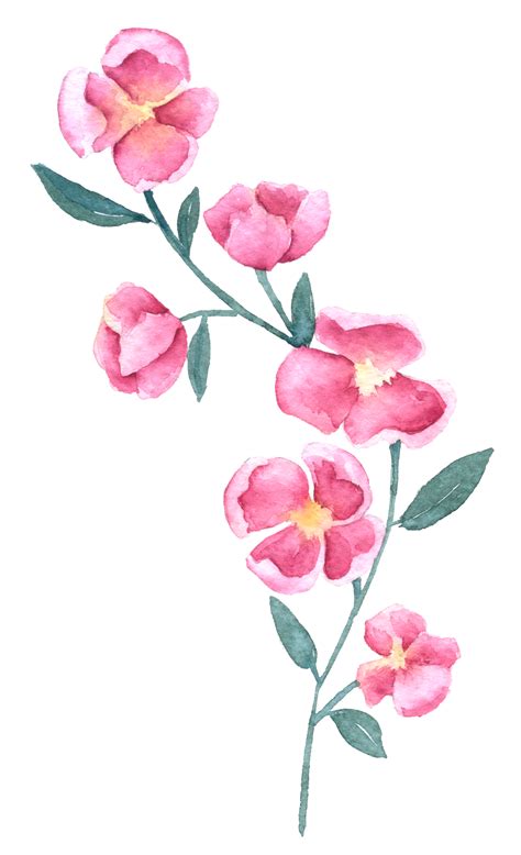 Aquarela De Flores Silvestres Elemento De Aquarela Linda Flor 10334917 PNG