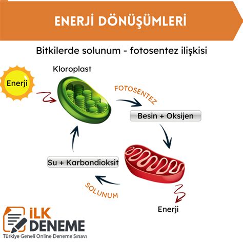 Enerji Dönüşümleri Konu Anlatımı 8 Sınıf Konu Anlatımları