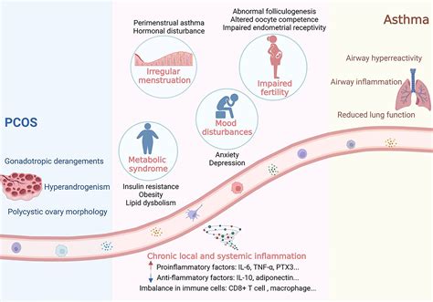 Frontiers Associations Between Asthma And Polycystic Ovary Syndrome