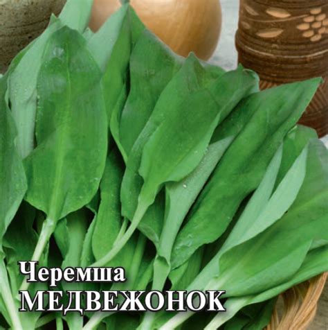 Черемша Медвежонок 50,0 г - ГАВРИШ ГК