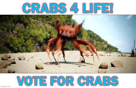 CRABS 4 LIFE Imgflip