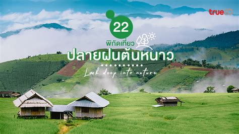 อปเดต 22 ทเทยวปลายฝนตนหนาว 2565 กอดทะเลหมอก สดชนกบปาสเขยว