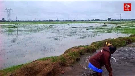 பரமபககம ஏர மதக உடநத நர வளயறறம 200 ஏககர வவசய