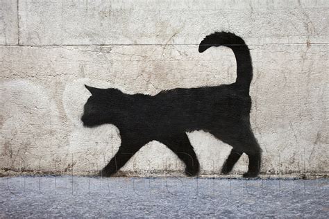 Black Cat Banksy Graffiti Spray Painting Stenciling Technique Etsy