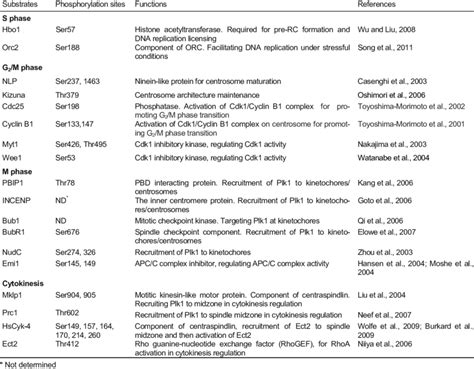 Substrates Of Polo Like Kinase 1 In Cell Cycle Regulation Download Table