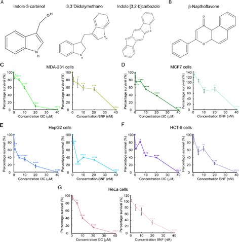 Functional Effect Of Indole 3 Carbinol In The Viability And Invasive