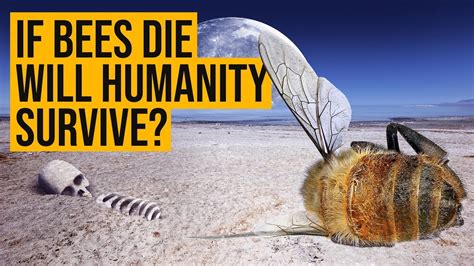 If Bees Go Extinct Will Humanity Survive Youtube