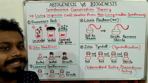 What Is Theory Of Biogenesis