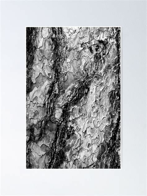 Tree Bark Black And White Surface Texture Poster For Sale By Carolinareina Redbubble