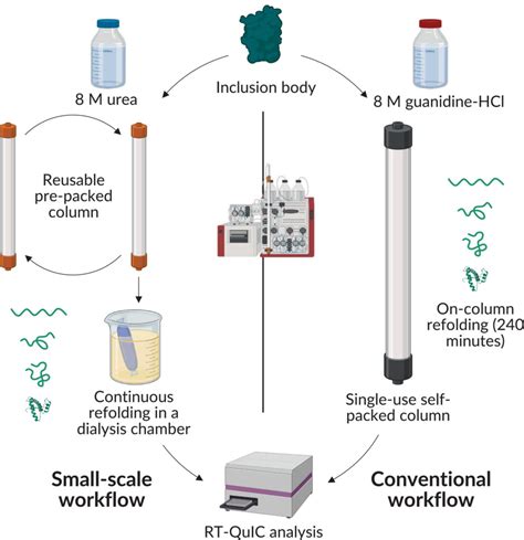 Realtime Quakinginduced Conversion Assay Using A Smallscale