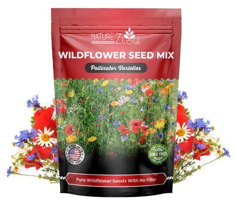 Wildflower Seed Mix