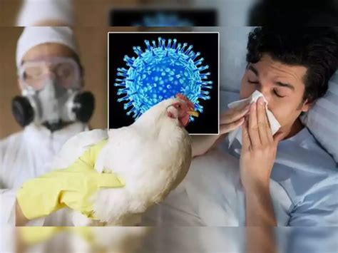 Who Confirms Worlds First Human Death From Bird Flu In Mexico