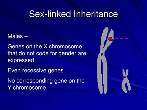 Ppt Genetics Beyond Mendel Powerpoint Presentation Free Download