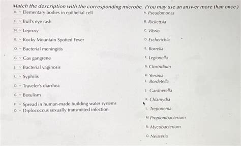 Solved Match The Description With The Corresponding Microbe Chegg