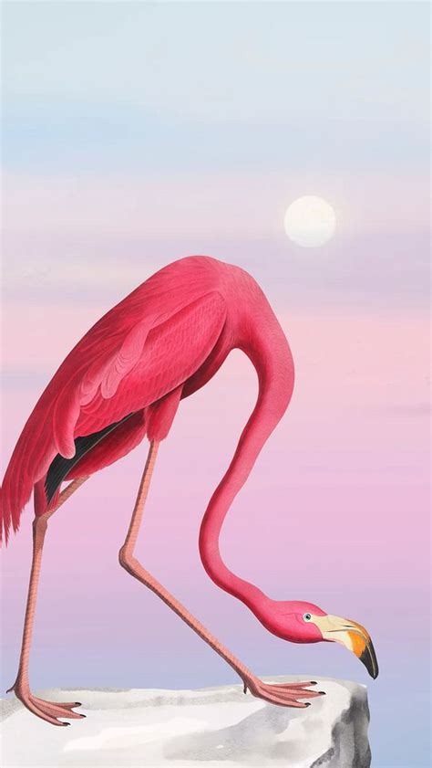 Flamingo iPhone wallpaper, gradient sky | Premium Photo Illustration ...