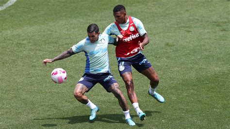 Palmeiras intensifica preparação para o Choque Rei atividade