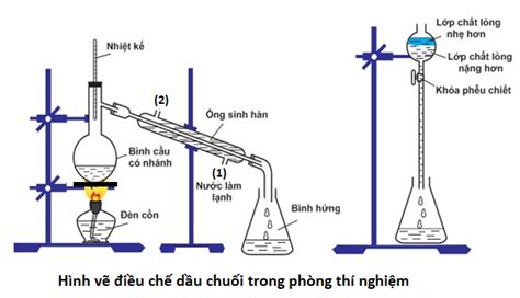 Hình vẽ minh họa phương pháp điều chế isoamy axetat trong phòng thí