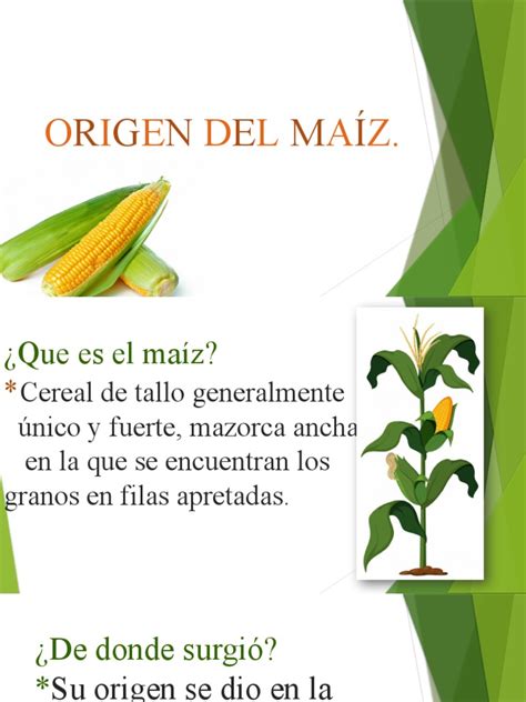 Origen Del Maíz En Mexico Pdf