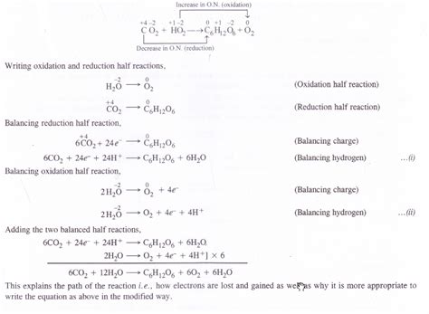 NCERT Solutions For Class 11 Chemistry Chapter 8 Redox Reactions