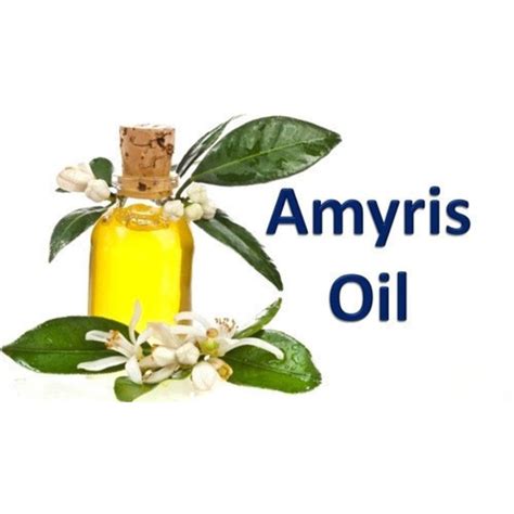 Flowers Amyris Essential Oil For Pharma Natural At Best Price In