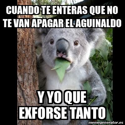 Meme Koala Cuando Te Enteras Que No Te Van Apagar El Aguinaldo Y Yo