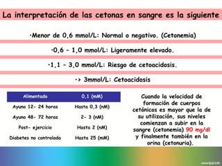 Cuerpos Cetonicos PPT