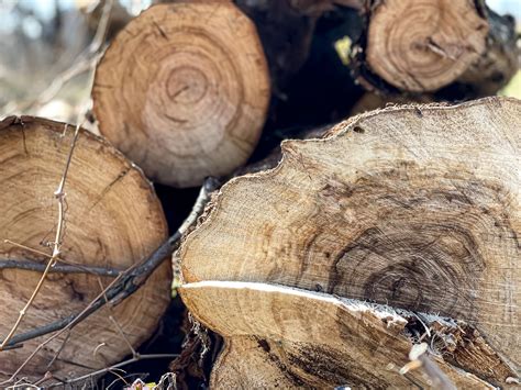 R Seau De Chaleur Au Bois