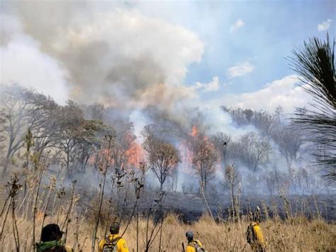 Incendio En Cerro Del Quinceo Ya Fue Controlado Pero Hay Activos En