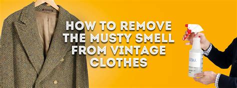 How To Remove Musty Smell From Stored Clothes At Denise Petersen Blog