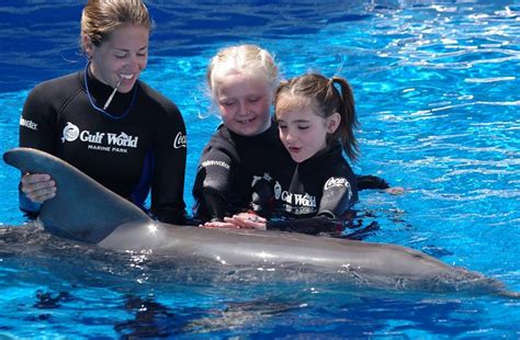 Panama City Beach Dolphin Encounter 800 667 5524