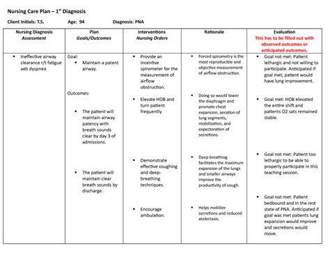 Pneumonia Nursing Care Plan Nursing Care Plan 1st Diagnosis Client