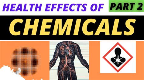 Chemical Effects On Health Effects Of Chemicals On Human Health