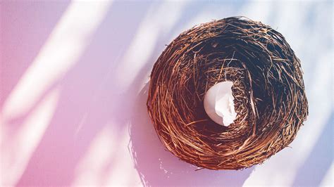 Understanding Empty Nest Syndrome Symptoms And Coping Strategies