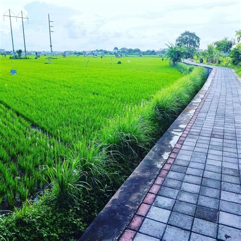 6 Tempat Jogging Di Denpasar Olahraga Sambil Refreshing