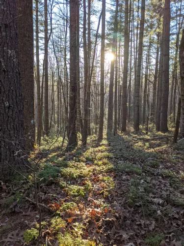 Best Walking Trails In Bent Creek Experimental Forest AllTrails