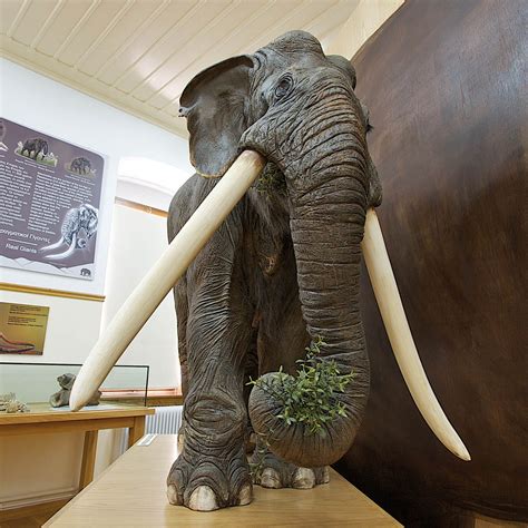 An Ancient Descendant: The Straight-Tusked Elephant | by Emma Silva ...