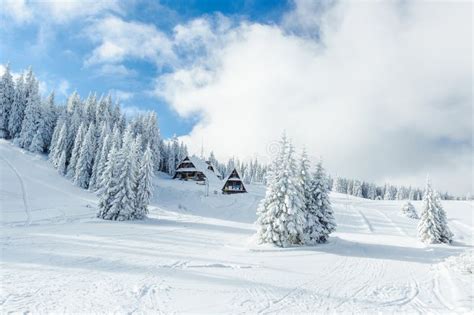 Winter Snowy Landscape in Poland at Sunset. Stock Photo - Image of ...