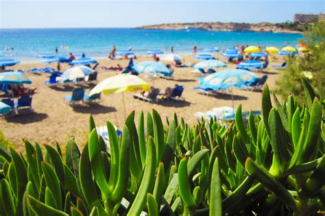 Holiday On Beach In Summer Free Stock Photo - Public Domain Pictures