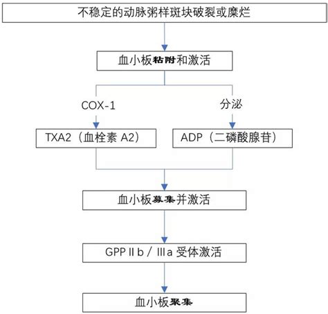 阿司匹林、氯吡格雷、替格瑞諾、替羅非班，四種抗血小板藥的區別 每日頭條