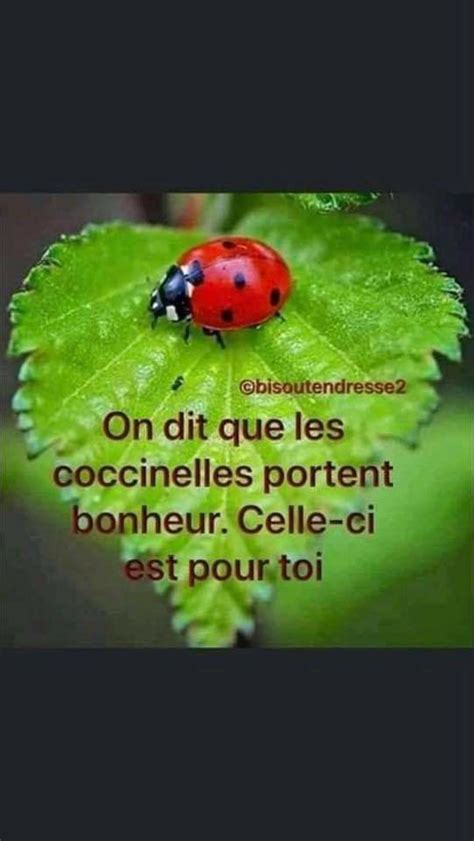 A Ladybug Sitting On Top Of A Green Leaf With The Caption In French