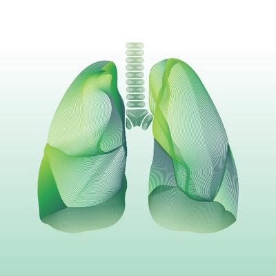 Exploring Lung Diseases: Types and Symptoms