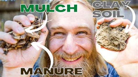 How Do I Plant In TOUGH CLAY Soil 6 Tips Tricks YouTube