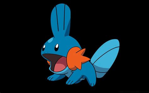 Mudkip Wallpapers Top Free Mudkip Backgrounds Wallpaperaccess