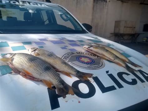 Homem Multado Em Mais De R Mil Por Transportar Peixes Nativos