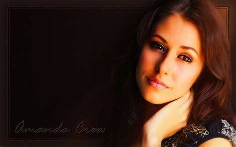 Amanda Crew Wallpapers Wallpaper Cave